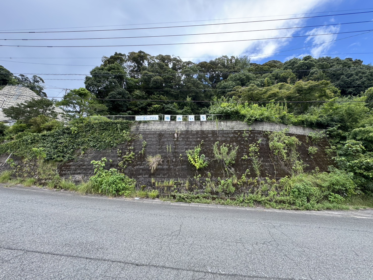 自然と広い敷地が魅力の売家＆土地