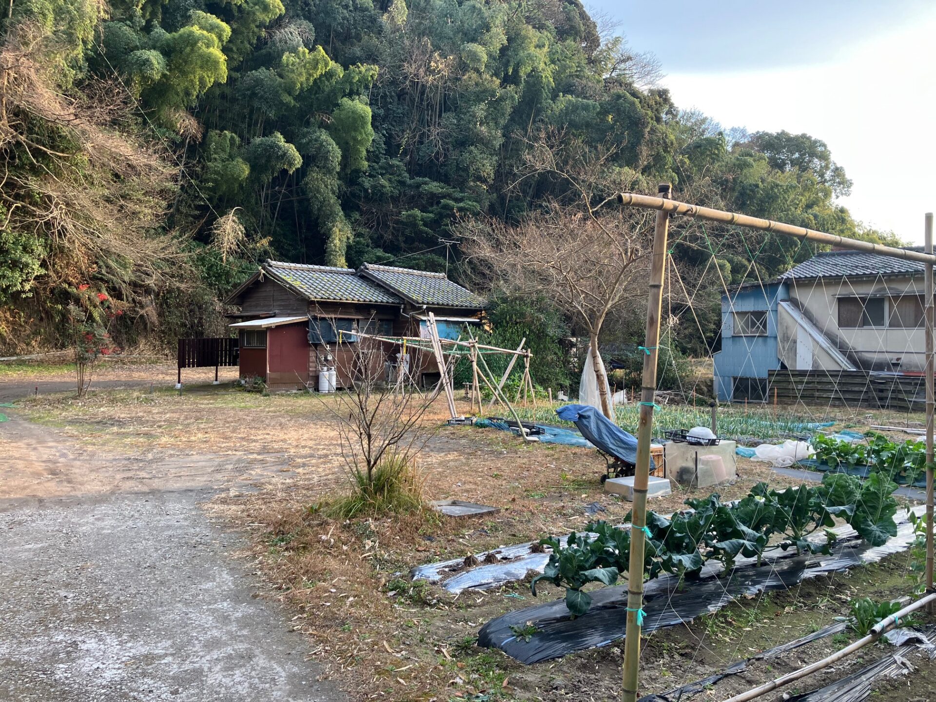 市街地近くで112坪。使い方が広がる「新照院町」のゆとりある売土地