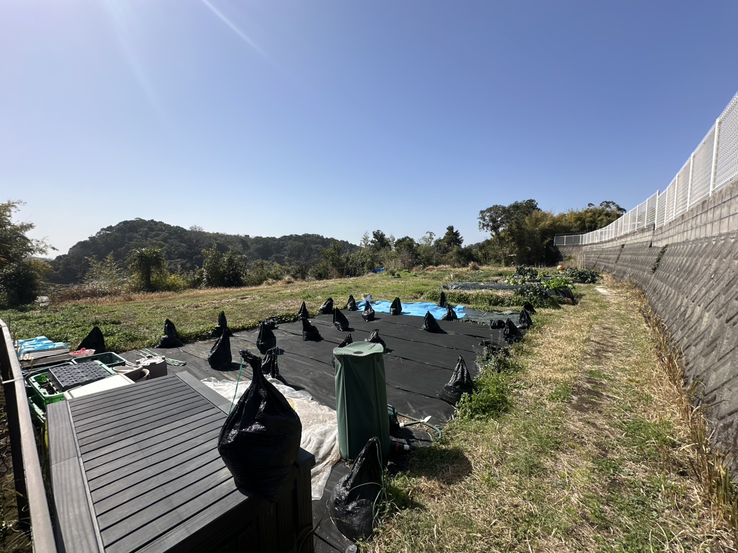 「遊ぶための土地」という選択